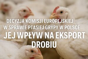 Eksport drobiu z Polski zagrożony – Komisja Europejska reaguje