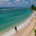 Tragiczny finał spaceru po plaży Moorea – Polka nie żyje po ataku psów