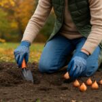 Optymalny czas sadzenia tulipanów – praktyczne wskazówki dla ogrodników